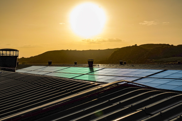 Aviagen solar panels on facility at sunset