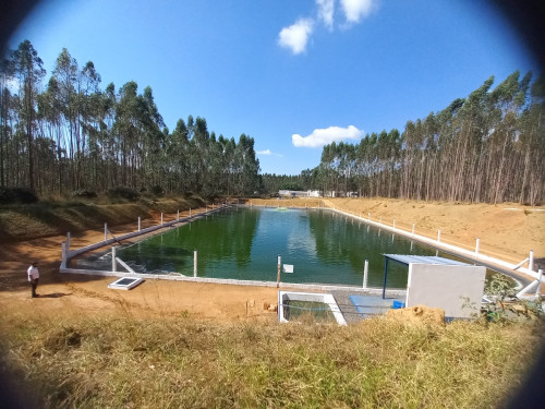 Pond in Latin America