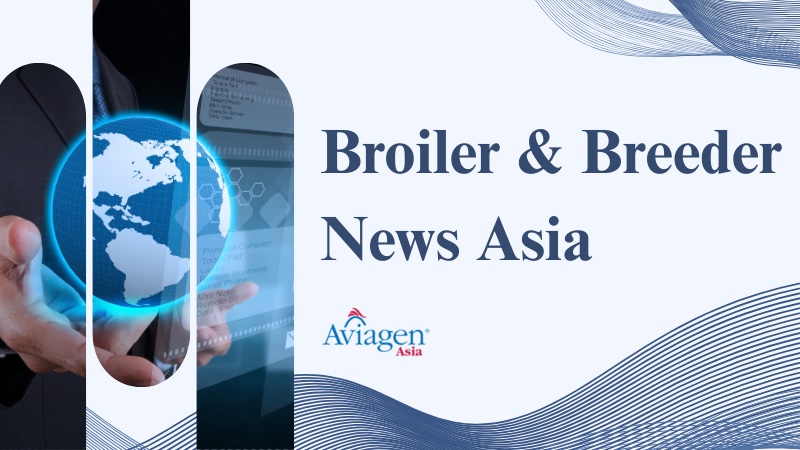 Broiler & Breeder News Asia, 31 Dec 2025 – 6 Jan 2026
