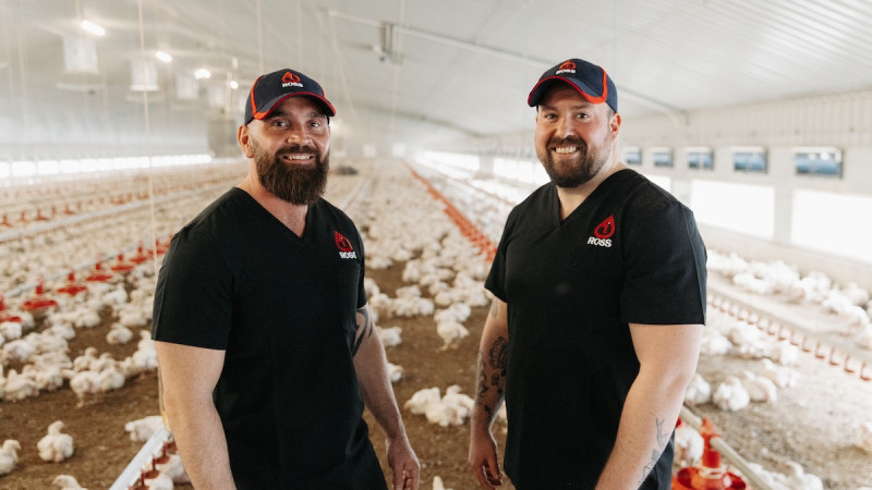 Aviagen introduces the Ross 505 Club