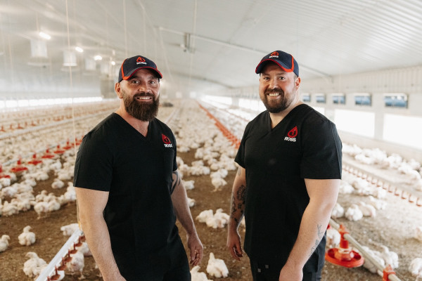 Sean Harrison and Harrison Davies in Aviagen Ross broiler chicken shed