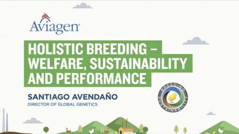 Holistic breeding – welfare, sustainability and performance