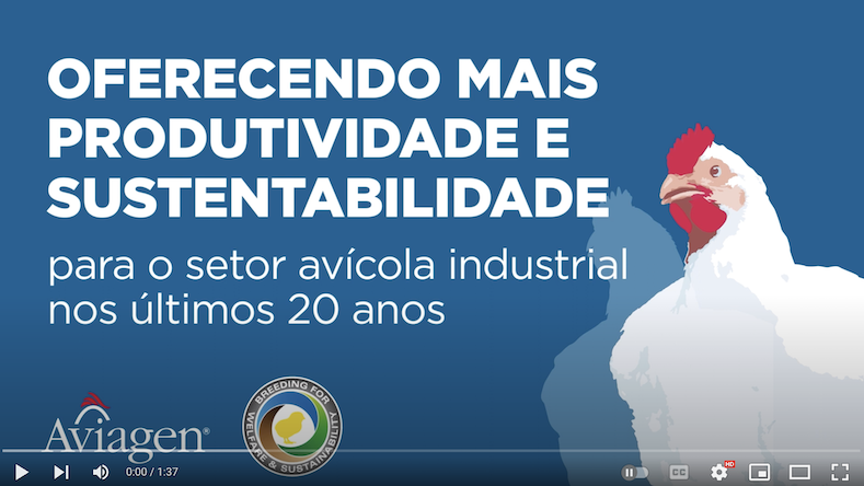 Melhorias em Produtividade e Sustentabilidade para o Setor Avícola durante os últimos 20 anos